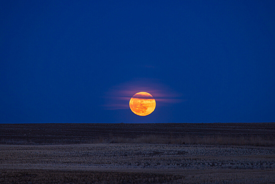 Der aufgehende Vollmond am 23. April 2024, wobei der April-Vollmond im Volksmund als rosa" Mond oder der Froschquakende Mond."