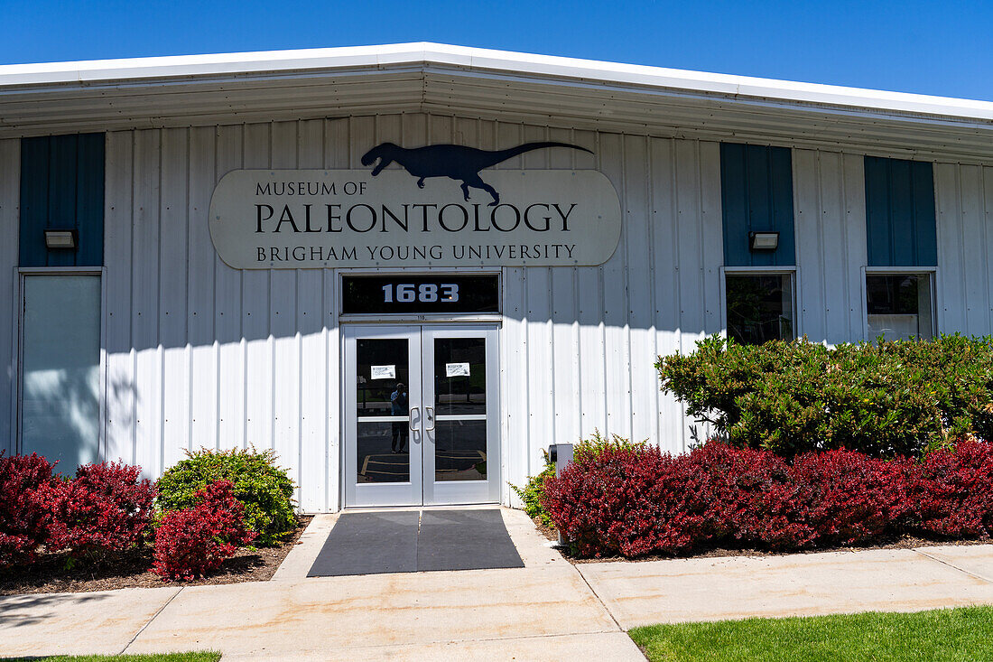 Paleontology Museum