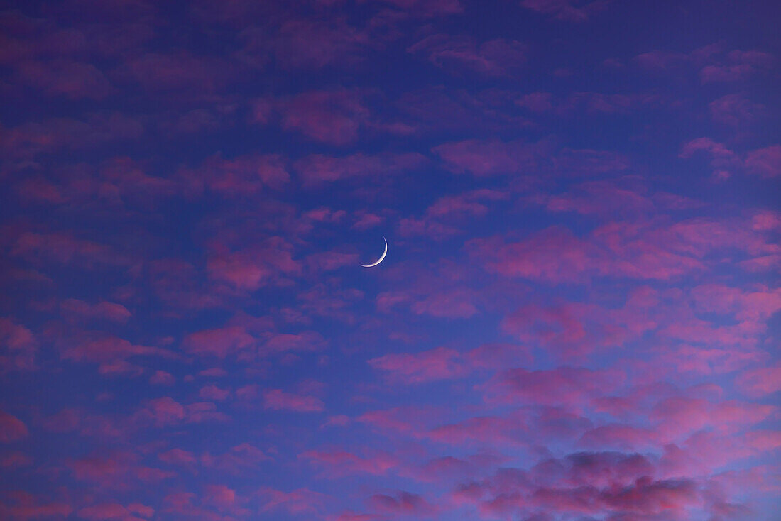 The waxing two-day-old crescent Moon amid pink sunset clouds and in a twilight blue evening sky, on June 8, 2024. Taken from Writing-on-Stone Provincial Park, Alberta.