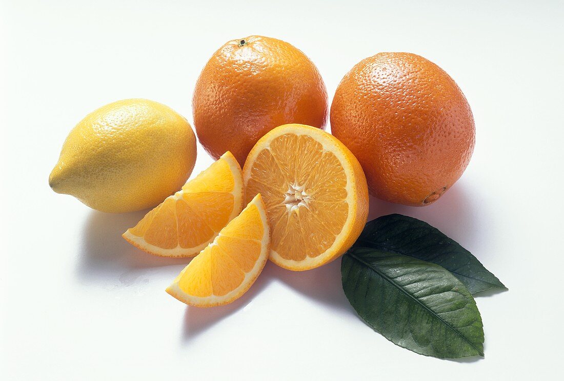 Zitrone, Orangen, Orangenhälfte, -schnitze und Blätter