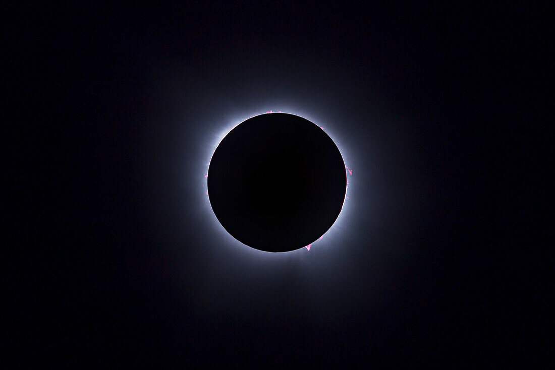 This is the total eclipse of the Sun of April 8, 2024, in a blend of two exposures to display all the fiery pink prominences that were visible during totality around the lunar disk in one image, set against the bright inner corona of the Sun with the dark disk of the Moon in silhouette in front of the Sun.