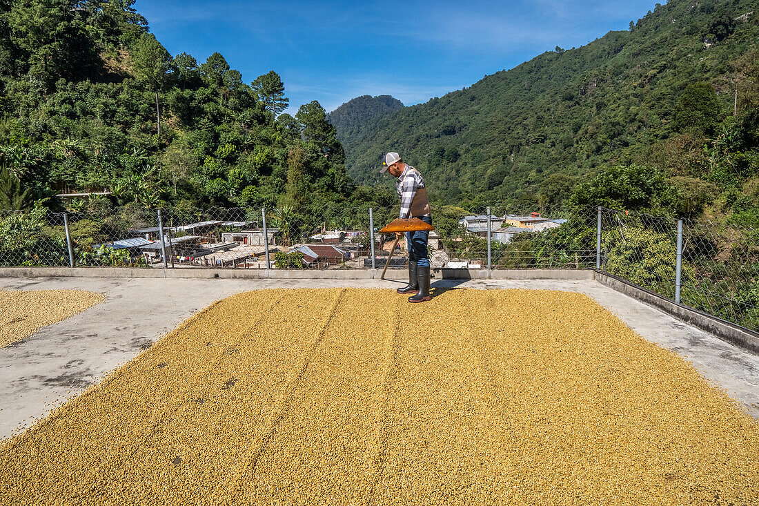 Trocknungsprozess auf den Terrassen der Häuser Guatemalas