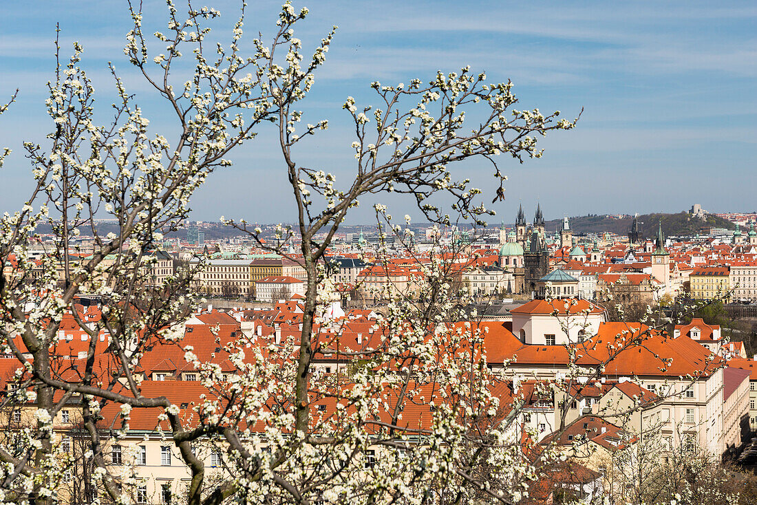 Dächer der Kleinseite (Mala Strana) und der Altstadt in der Frühlingsblüte, Prag, Tschechien, Europa