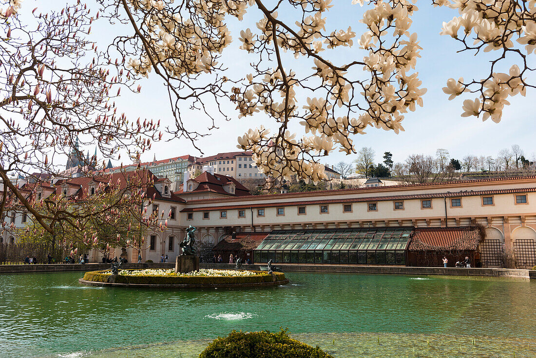 Baroque Waldstein Gardens and Prague Castle through spring blossom, Lesser Town (Mala Strana), Prague, Czechia, Europe