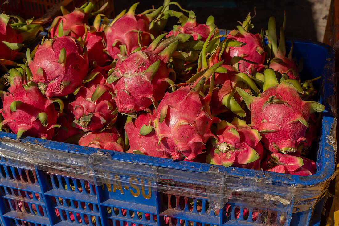 Drachenfrucht zum Verkauf auf dem Fisch- und Gemüsemarkt Kad Luang in Chiang Mai, Thailand, Südostasien, Asien