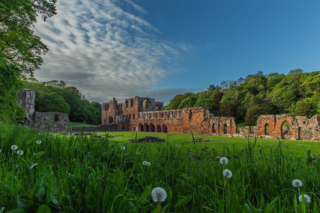 Furness Abbey, Barrow In Furness, Cumbria, England, Vereinigtes Königreich, Europa