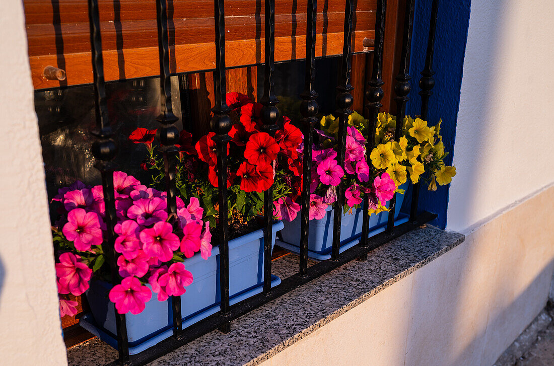 Verschiedene bunte Blumen am Hausfenster