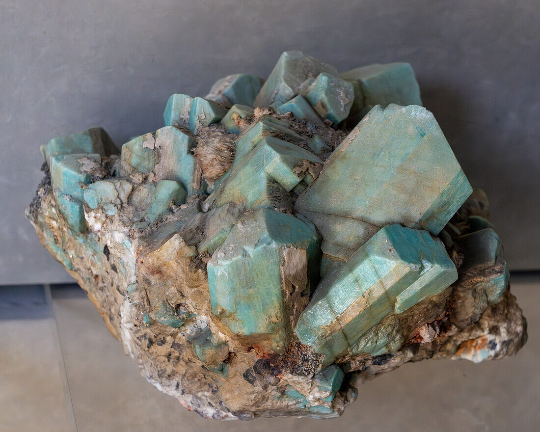 A specimen of Microcline in the Museum of Paleolontolgy at Brigham Young University, Provo, Utah.