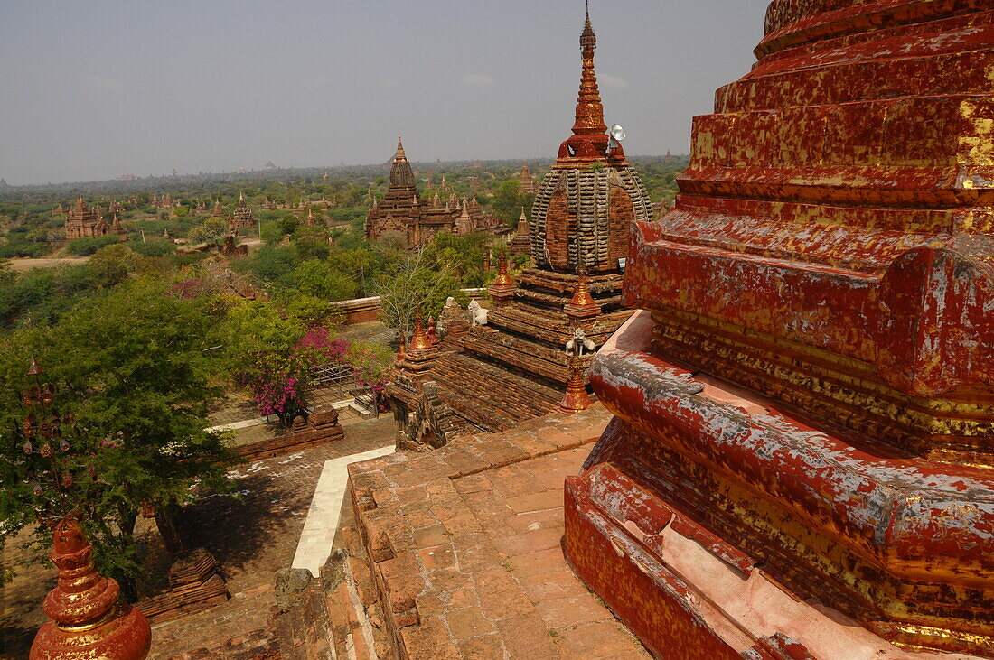 Erhöhte Ansicht der Bagan-Tempel, Bagan (Pagan), UNESCO-Weltkulturerbe, Myanmar, Asien