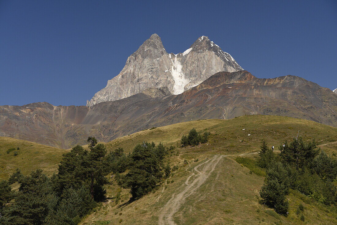 Berg Ushba, Swanetien, Kaukasus, Georgien, Zentralasien, Asien