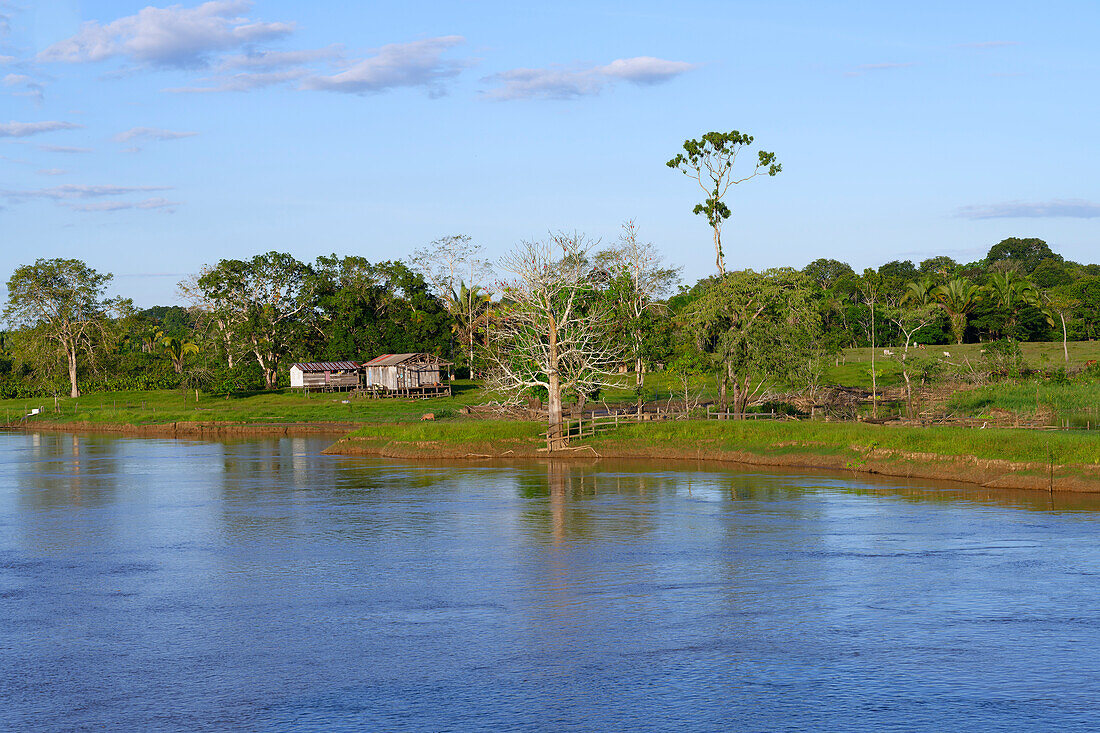 Holzhäuser auf Stelzen im überfluteten Wald entlang des Madeira-Flusses, Bundesstaat Amazonas, Brasilien, Südamerika