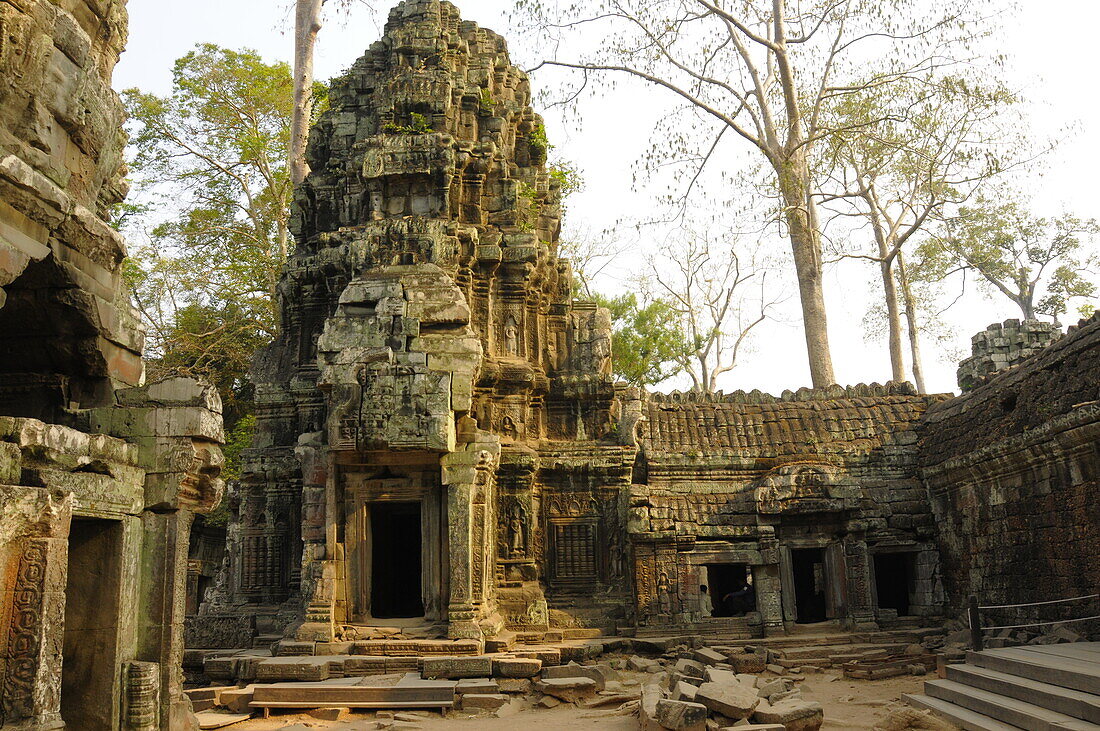 Ta-Prohm-Tempel, Angkor, UNESCO-Weltkulturerbe, Siem Reap, Kambodscha, Indochina, Südostasien, Asien