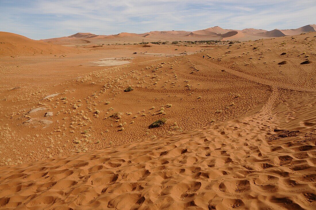 Totes Vlei, Sossusvlei, Namib-Wüste, Namibia, Afrika