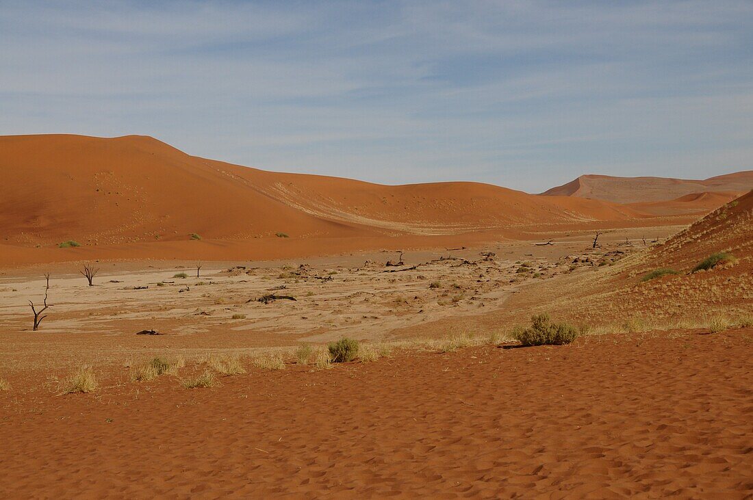 Totes Vlei, Sossusvlei, Namib-Wüste, Namibia, Afrika