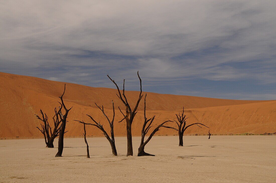 Totes Vlei, Sossusvlei, Namib-Wüste, Namibia, Afrika