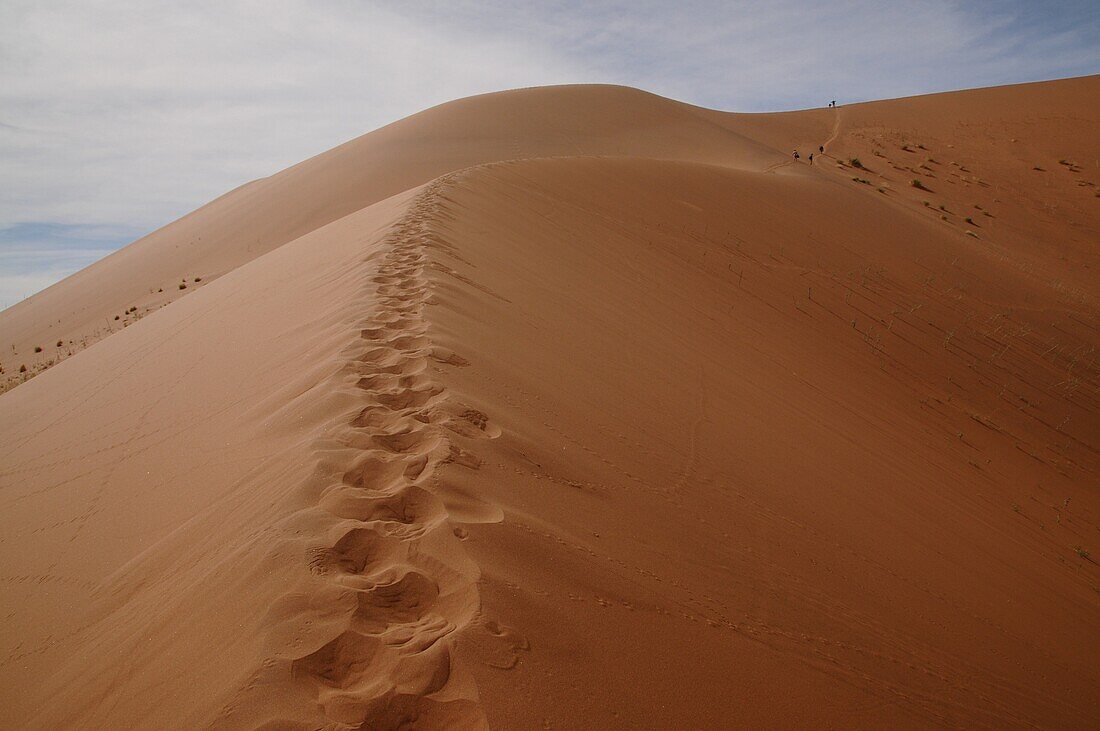 Totes Vlei, Sossusvlei, Namib-Wüste, Namibia, Afrika