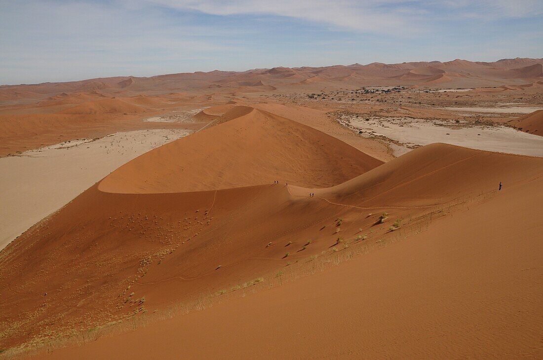 Totes Vlei, Sossusvlei, Namib-Wüste, Namibia, Afrika