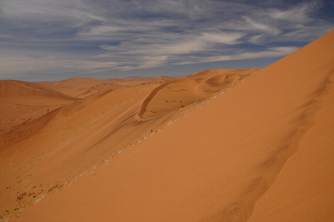 Totes Vlei, Sossusvlei, Namib-Wüste, Namibia, Afrika