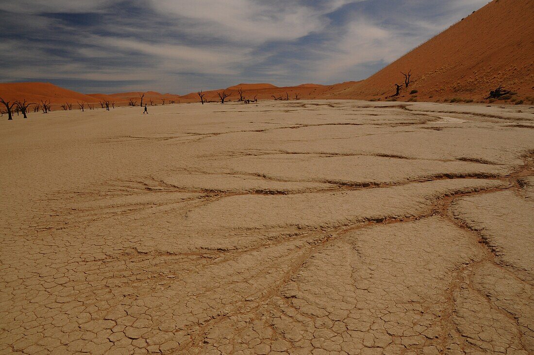 Totes Vlei, Sossusvlei, Namib-Wüste, Namibia, Afrika