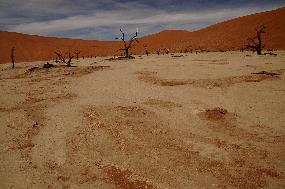 Totes Vlei, Sossusvlei, Namib-Wüste, Namibia, Afrika