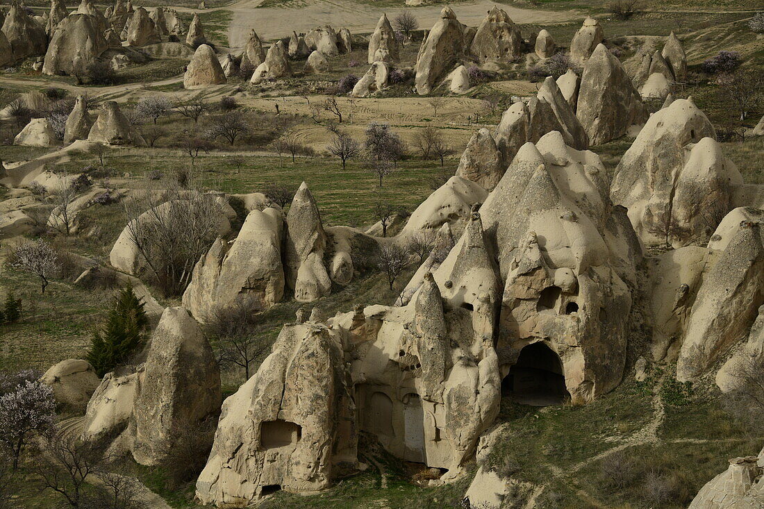 Felsformationen und Höhlenhäuser in Goreme, Kappadokien, Anatolien, Türkei, Kleinasien, Asien