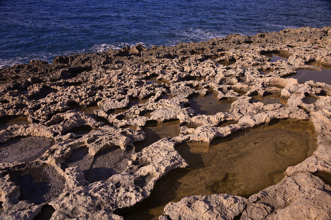 Rocky coast in Bugibba, Malta, Mediterranean, Europe