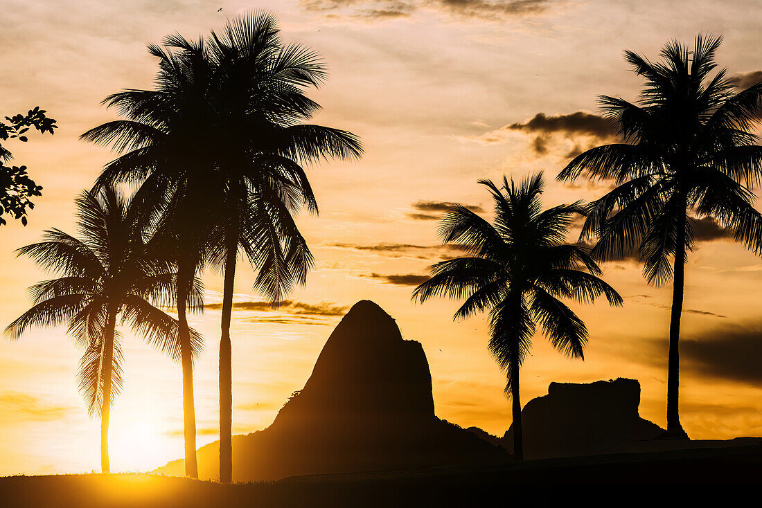 Sunset with the iconic Two Brothers Mountains in the backgrounds with palm trees in the foreground, Rio de Janeiro, Brazil, South America