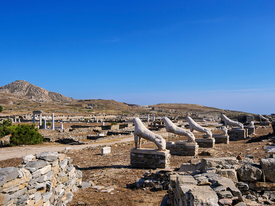 The Terrace of the Lions, Delos Archaeological Site, UNESCO World Heritage Site, Delos Island, Cyclades, Greek Islands, Greece, Europe