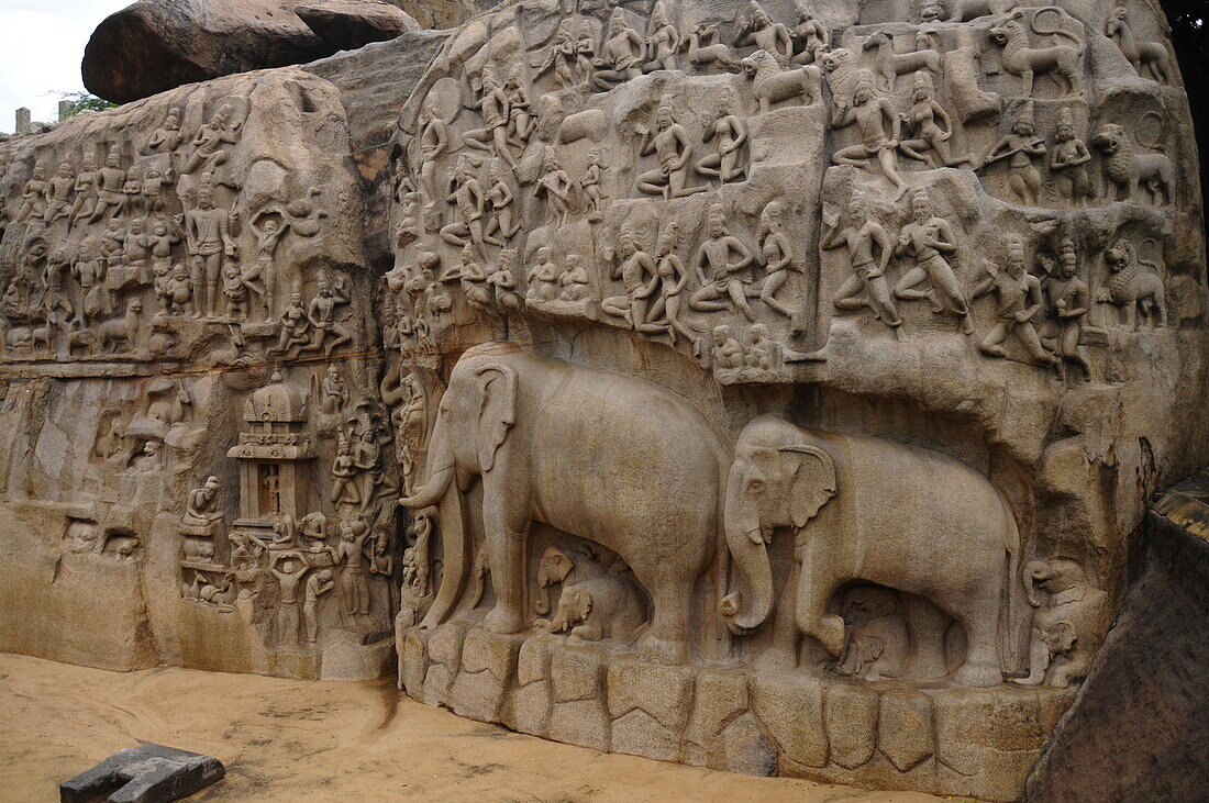 Bas relief of Descent of the Ganga River, Mahabalipuram, UNESCO World Heritage Site, Tamil Nadu, India, Asia