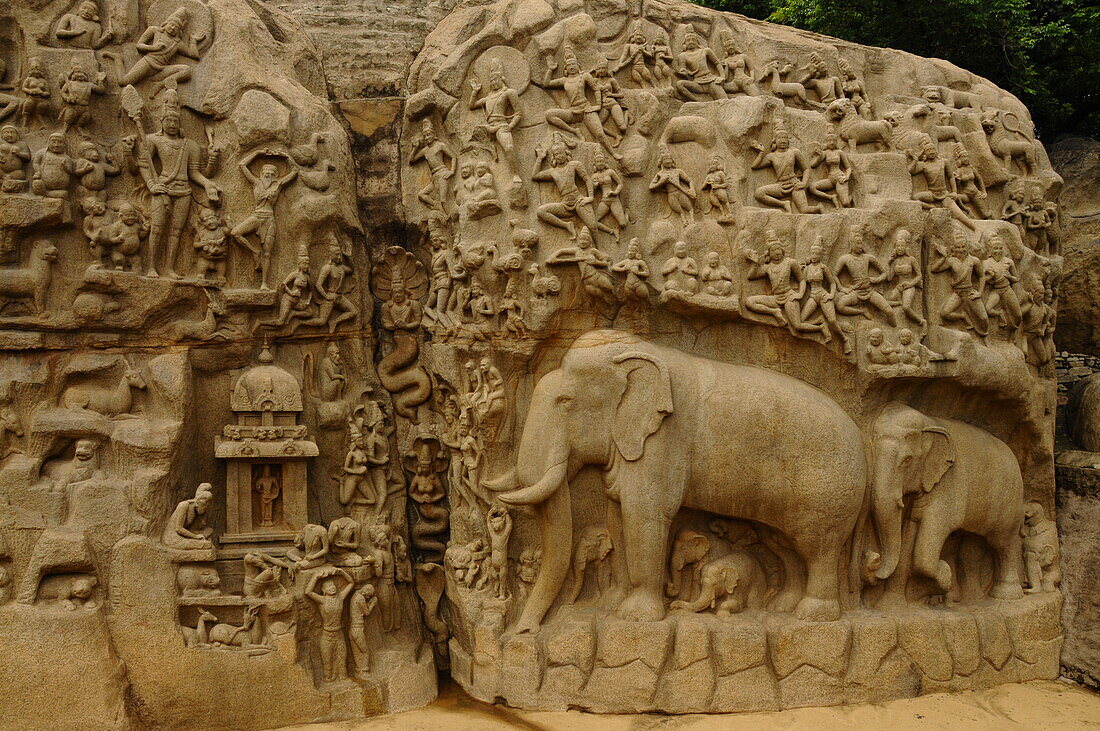 Bas relief of Descent of the Ganga River, Mahabalipuram, UNESCO World Heritage Site, Tamil Nadu, India, Asia