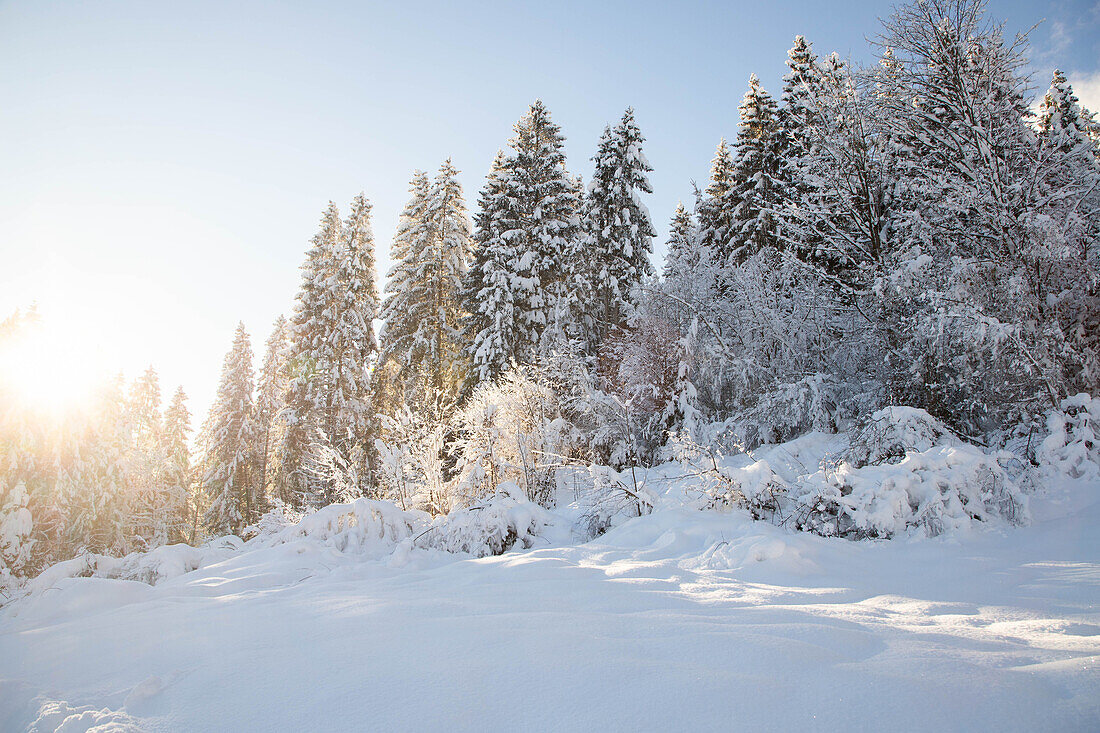 Wintertime with big snow in the Bavarian Alps, Garmish-Partenkirchen, Germany, Europe