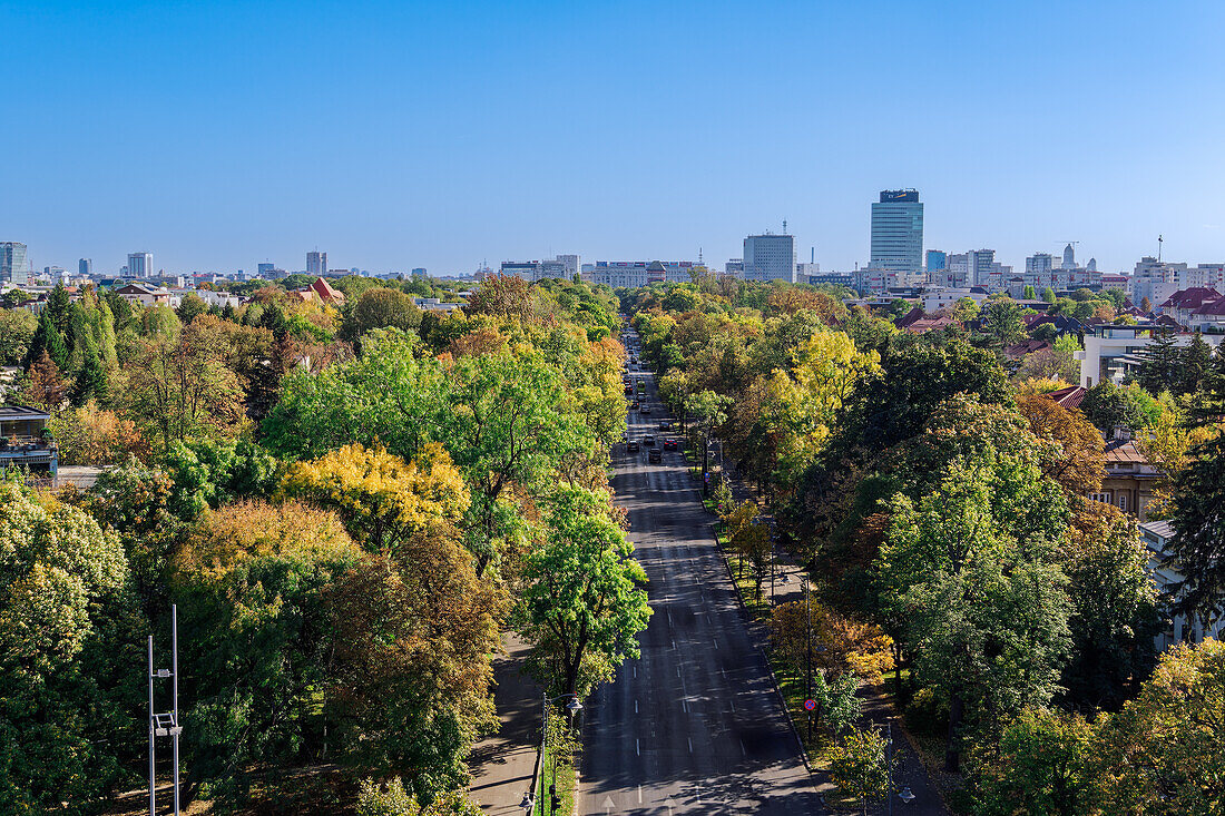 Panoramablick auf die Stadt mit einem Park und modernen Gebäuden im Hintergrund unter einem klaren blauen Himmel, Bukarest, Rumänien, Europa