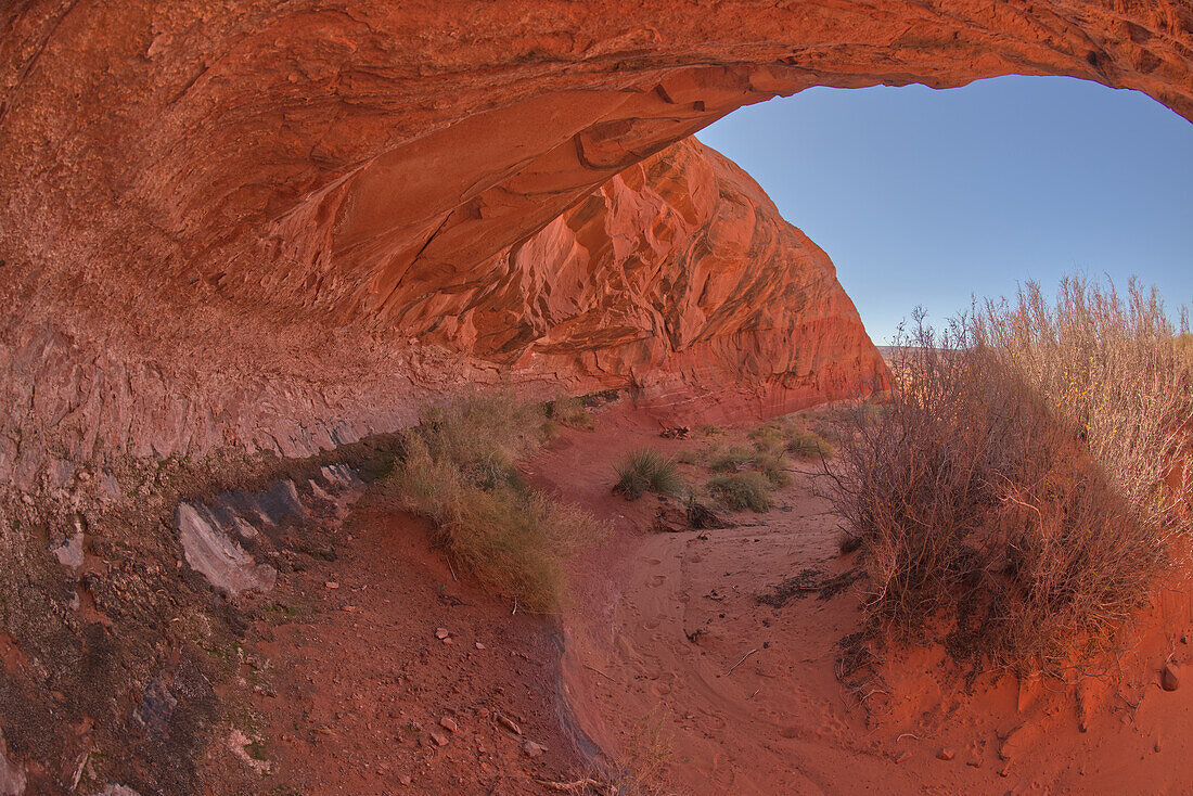 Der Überhang einer Sandsteintafel, eine versteinerte Sanddüne, bei Ferry Swale in der Glen Canyon Recreation Area in der Nähe von Page, Arizona, Vereinigte Staaten von Amerika, Nordamerika