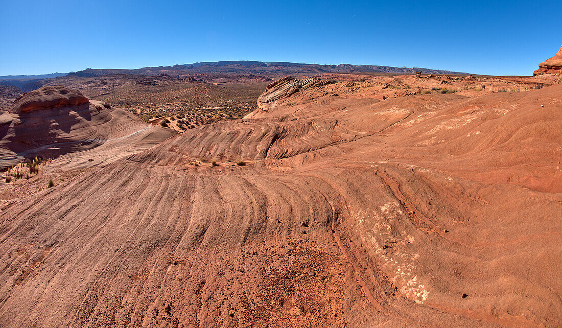 Ein gewellter Sandsteinhügel, eine versteinerte Sanddüne, bei Ferry Swale in der Glen Canyon Recreation Area bei Page, Arizona, Vereinigte Staaten von Amerika, Nordamerika