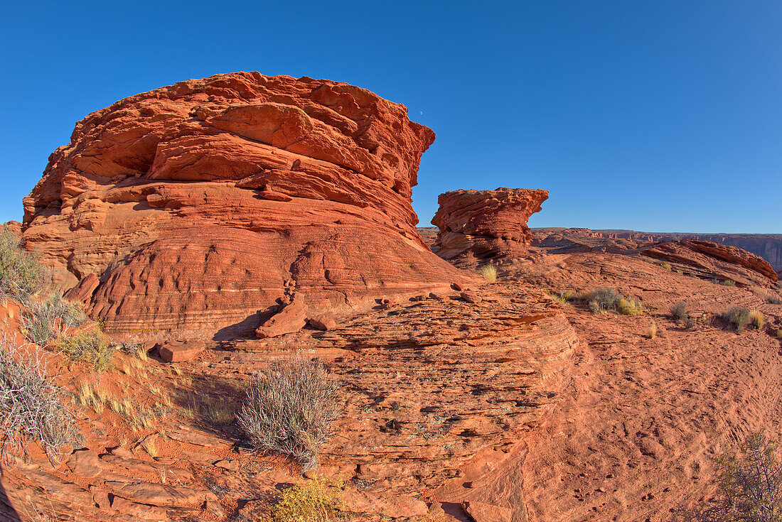 Hoodoos auf einem Sandsteinrücken in der Nähe des Spur Canyon am Horseshoe Bend, Arizona, Vereinigte Staaten von Amerika, Nordamerika