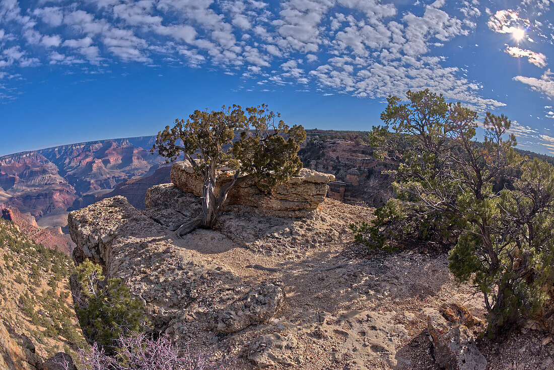 An outcrop of rock overlooking the Bright Angel Trail below at Grand Canyon South Rim off Hermit Road, Grand Canyon, UNESCO World Heritage Site, Arizona, United States of America, North America