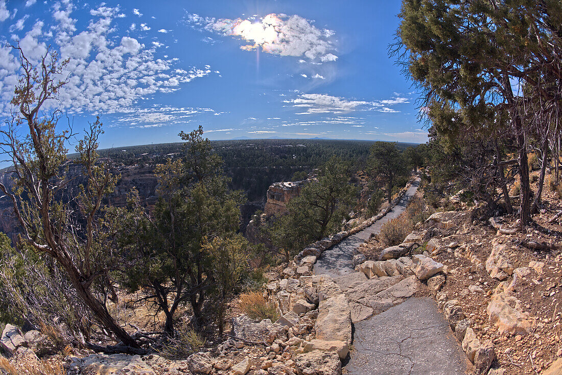 Der gepflasterte Rim Trail entlang der Klippen des Grand Canyon South Rim zwischen dem Dorf und dem Trailview Overlook Vista, Grand Canyon, UNESCO-Weltnaturerbe, Arizona, Vereinigte Staaten von Amerika, Nordamerika