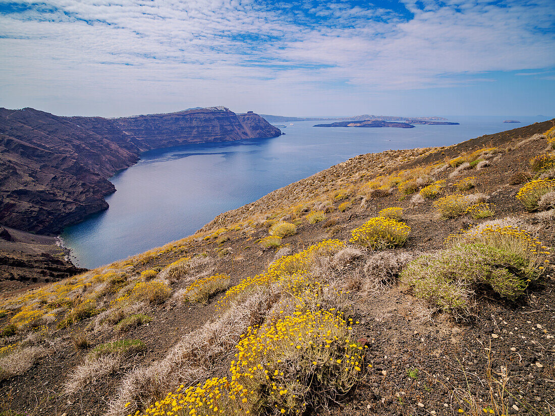 Landscape of the caldera, Santorini (Thira) Island, Cyclades, Greek Islands, Greece, Europe