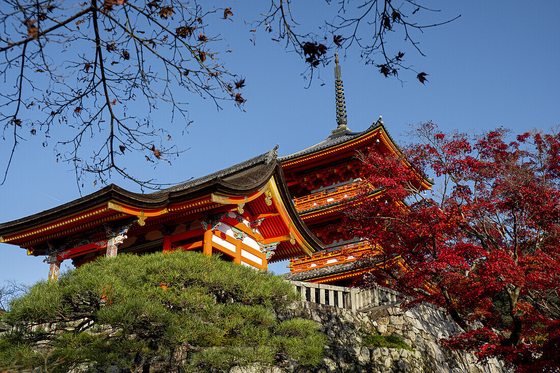 Buddhistischer Tempelkomplex Kiyomizu-dera und Pagode in Kyoto, UNESCO-Weltkulturerbe, Honshu, Japan, Asien