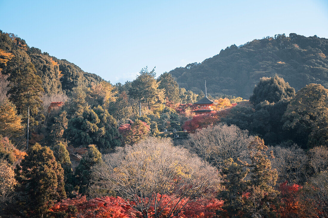 Kiyomizu-dera Buddhist Temple garden and Koyasunoto Pagoda in autumn, UNESCO World Heritage Site, Kyoto, Honshu, Japan, Asia