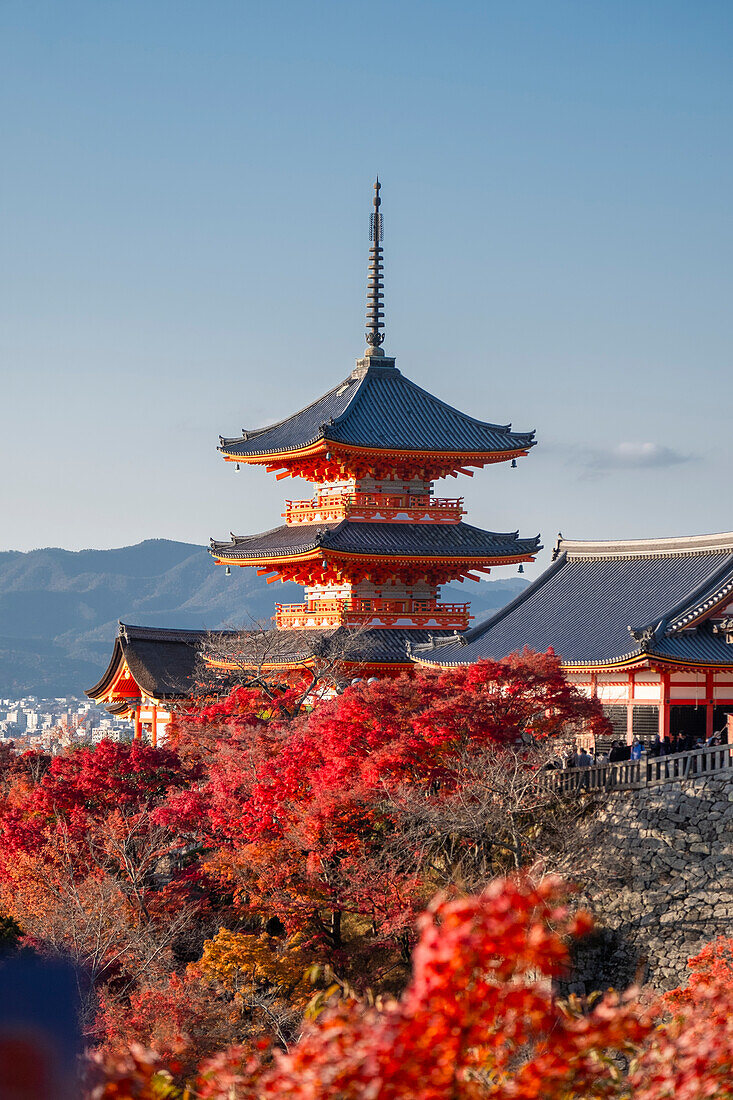 Buddhistischer Tempel Kiyomizu-dera und dreistöckige Pagode Sanjunoto mit Herbstfarben, Kyoto, UNESCO-Welterbe, Honshu, Japan, Asien