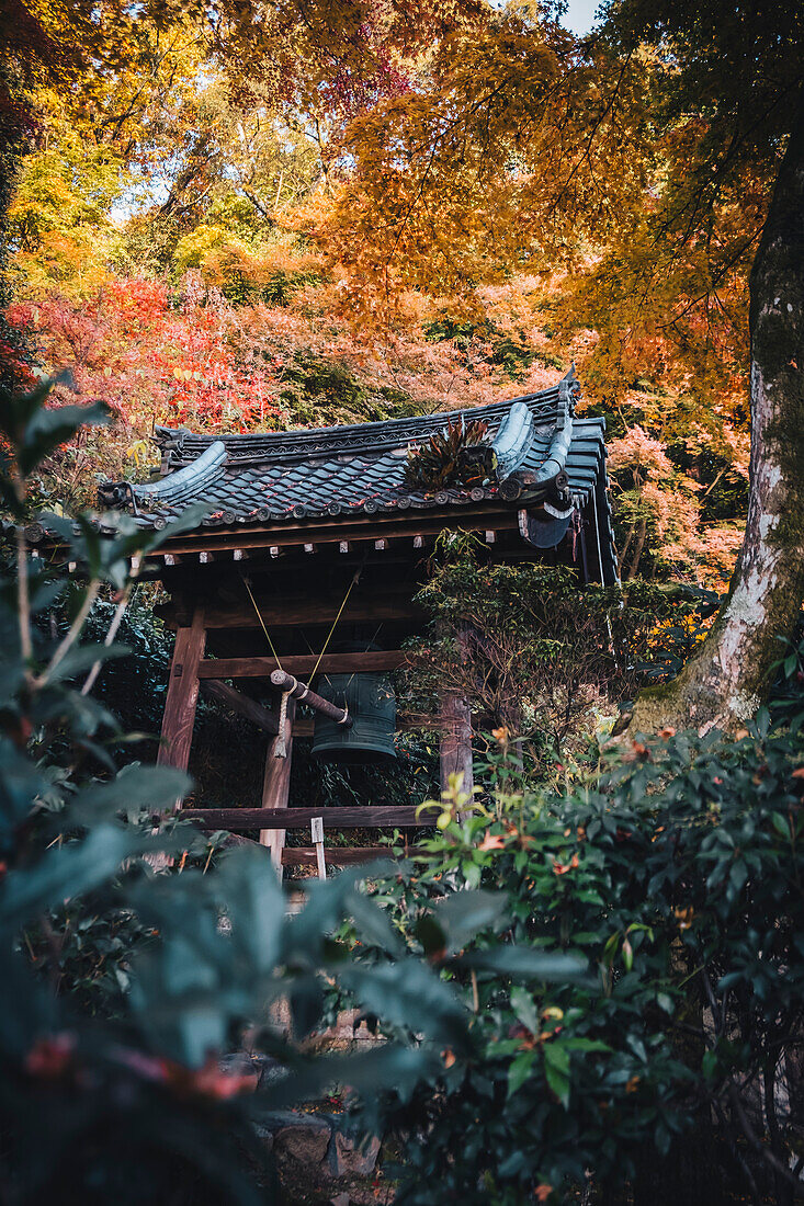 Seikan-ji Tempeltor mit Herbstfarben, Kyoto, Honshu, Japan, Asien