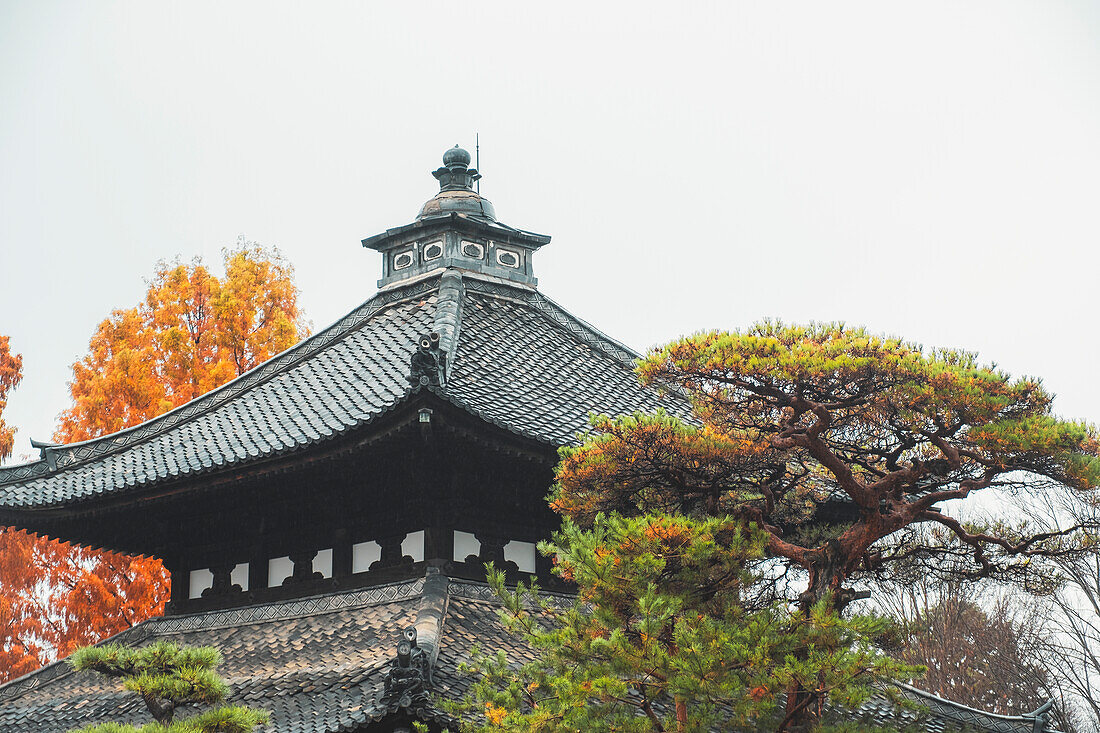 Dach des buddhistischen Tofuku-ji-Tempels, Kyoto, Honshu, Japan, Asien