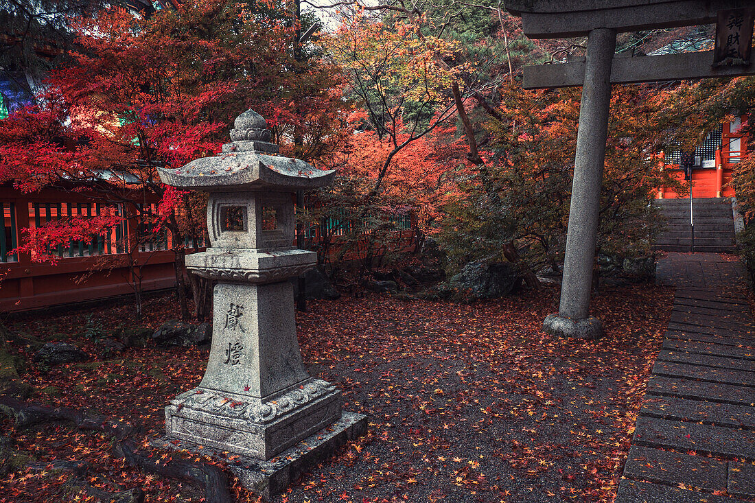 Ein Schrein im buddhistischen Tempel Bishamon-do mit Herbstfarben, Kyoto, Honshu, Japan, Asien