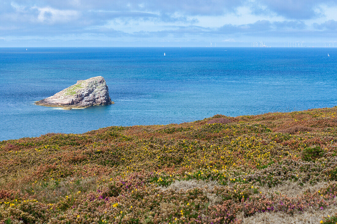 Cap Frehel, Plevenon, Cotes-d'Armor, Bretagne, Frankreich, Europa