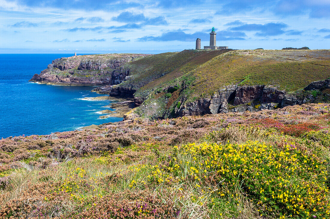 Cap Frehel, Plevenon, Cotes-d'Armor, Brittany, France, Europe