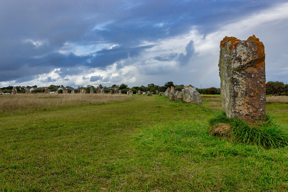 Alignements de Lagatjar, prähistorische stehende Steine, Camaret-sur-Mer, Finistere, Bretagne, Frankreich, Europa