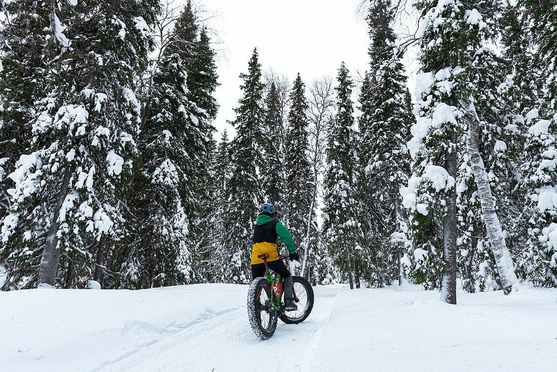 Männlicher Tourist mit Fatbike erkundet die Winterspuren im verschneiten Wald, Finnisch-Lappland, Akaslompolo, Pallas-Yllastunturi-Nationalpark, Kolari, Finnisch-Lappland, Finnland, Europa