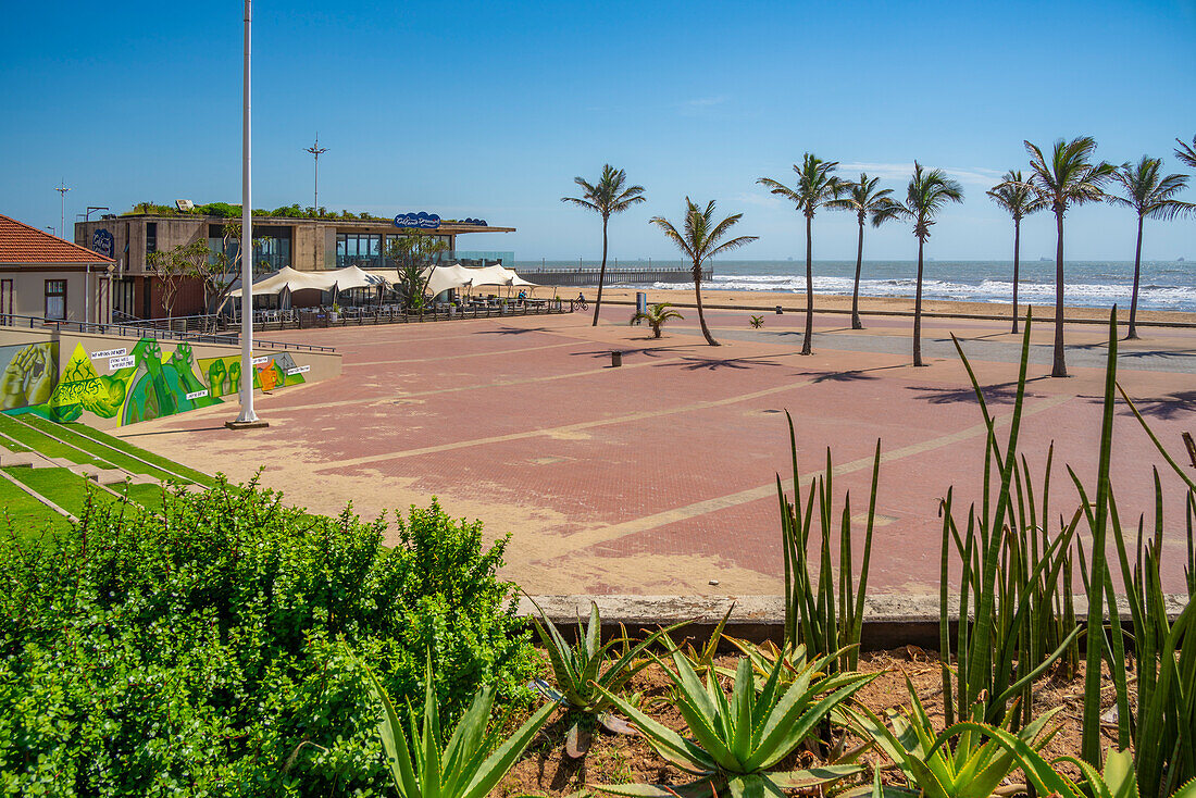 Blick auf Palmen, Promenade und den Indischen Ozean im Hintergrund, Durban, Provinz KwaZulu-Natal, Südafrika, Afrika