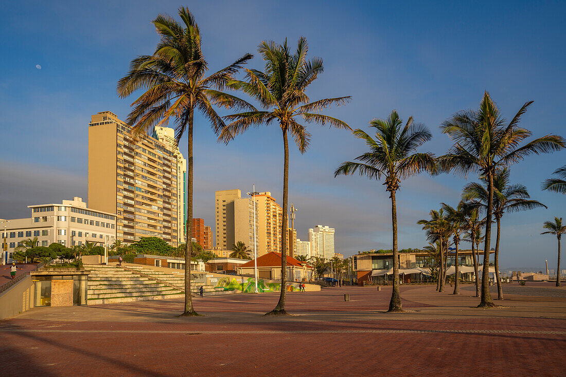 View of palm trees, promenade and hotels in background at sunrise, Durban, KwaZulu-Natal Province, South Africa, Africa